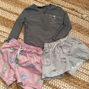 2t boys rash guard and trunk bundle